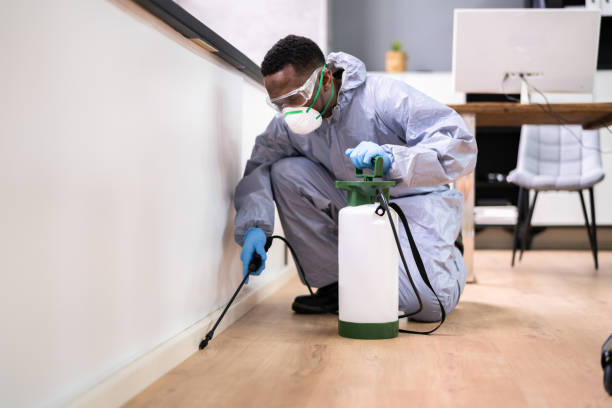 Best Residential Pest Control  in Peru, IL